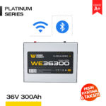 36V 300Ah LiFePO4 Akü - Bluetooth/Wifi